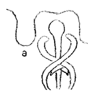 AltName