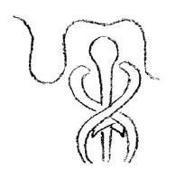 AltName