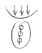 AltName