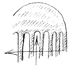 AltName