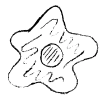 AltName
