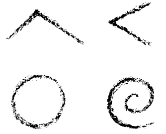 AltName