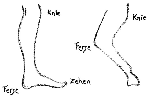 AltName
