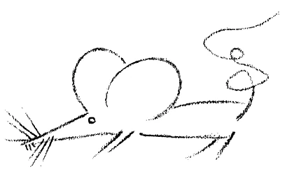 AltName
