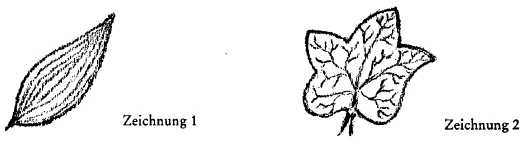 AltName