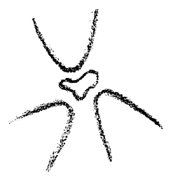 AltName