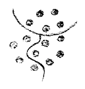 AltName