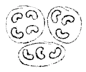 AltName