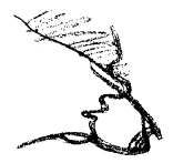 AltName