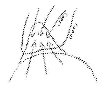 AltName