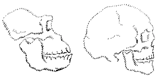 AltName