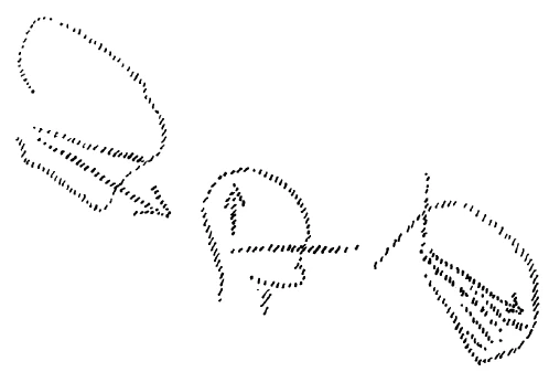 AltName