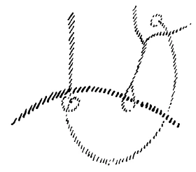 AltName