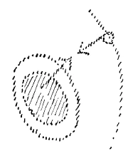 AltName