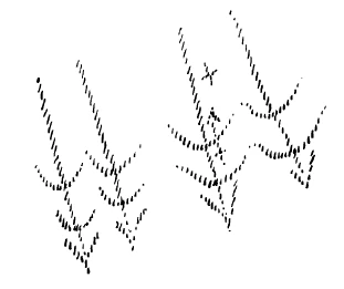 AltName