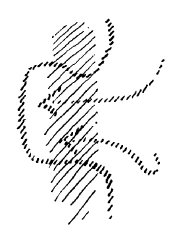 AltName