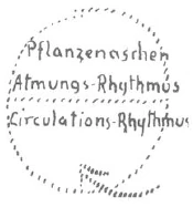 AltName