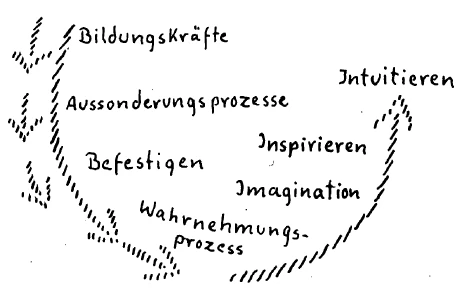 AltName