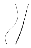 AltName