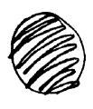 AltName