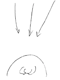 AltName