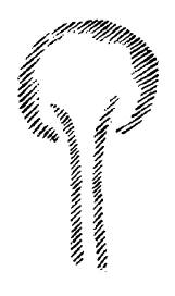 AltName
