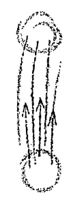 AltName