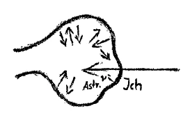 AltName