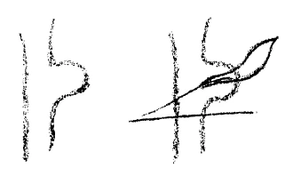 AltName