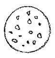 AltName