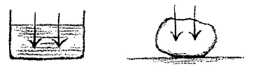 AltName