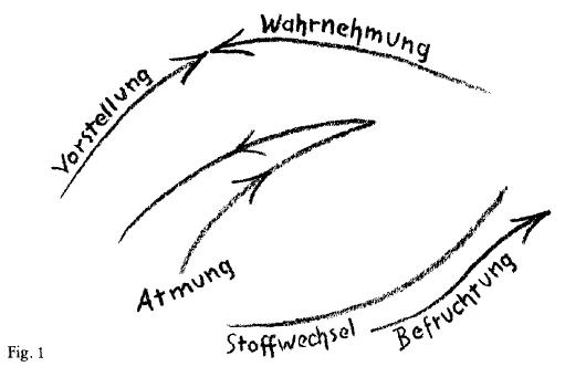 AltName