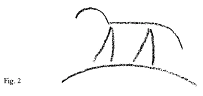 AltName
