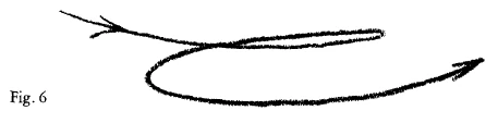 AltName