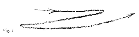 AltName