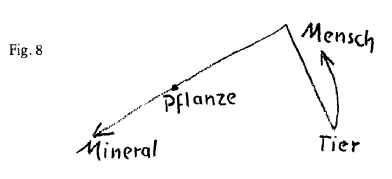 AltName
