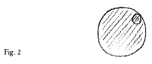 AltName