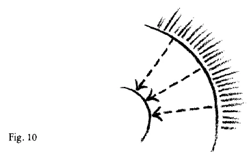 AltName