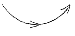 AltName