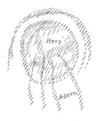 AltName
