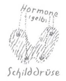 AltName