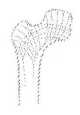 AltName