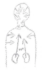 AltName
