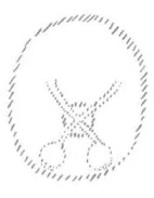 AltName
