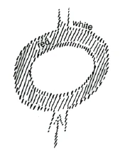 circular tube