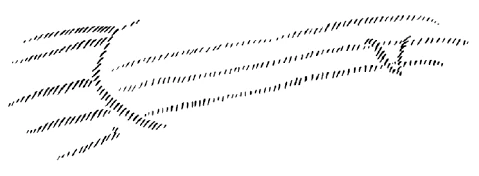 AltName
