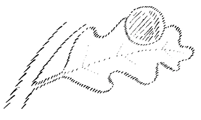 AltName