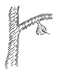 AltName