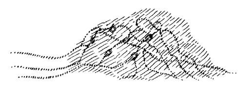 AltName