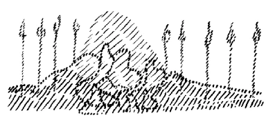 AltName